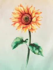 Aurora Dress - w/ Hat & Belt