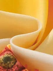 Aurora Dress - w/ Hat & Belt