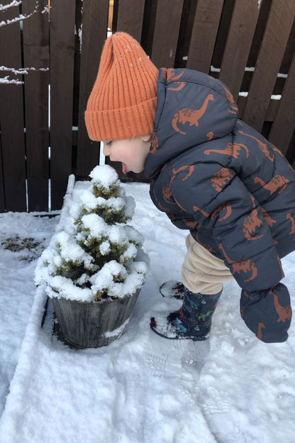 Byron Beanie | 12 Colors