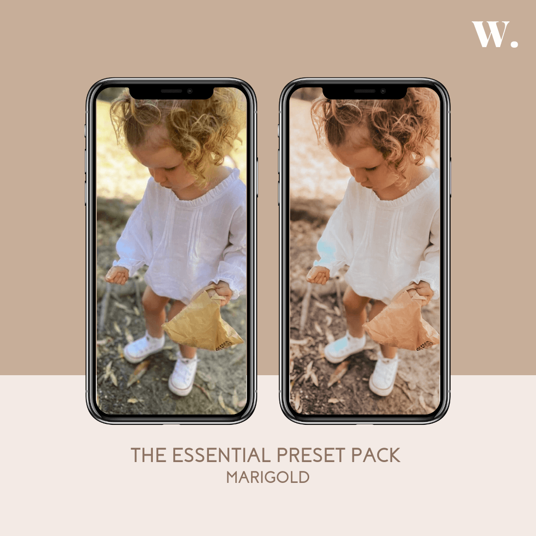 Golden Years Preset Pack