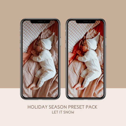 Holiday Season Preset Pack