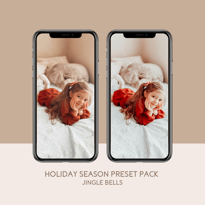 Holiday Season Preset Pack