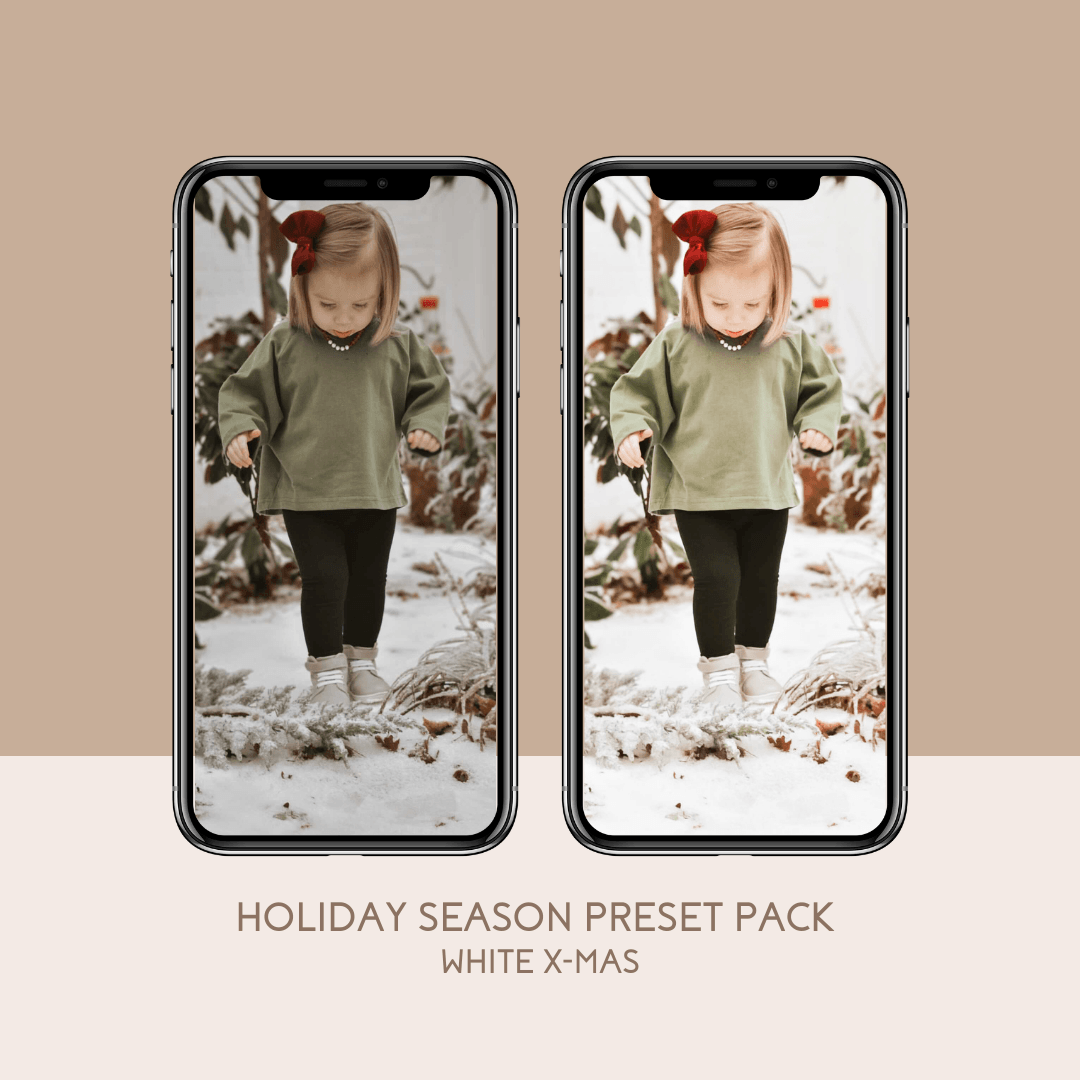 Holiday Season Preset Pack