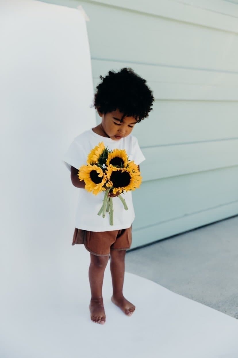 Wilder shorts | ginger